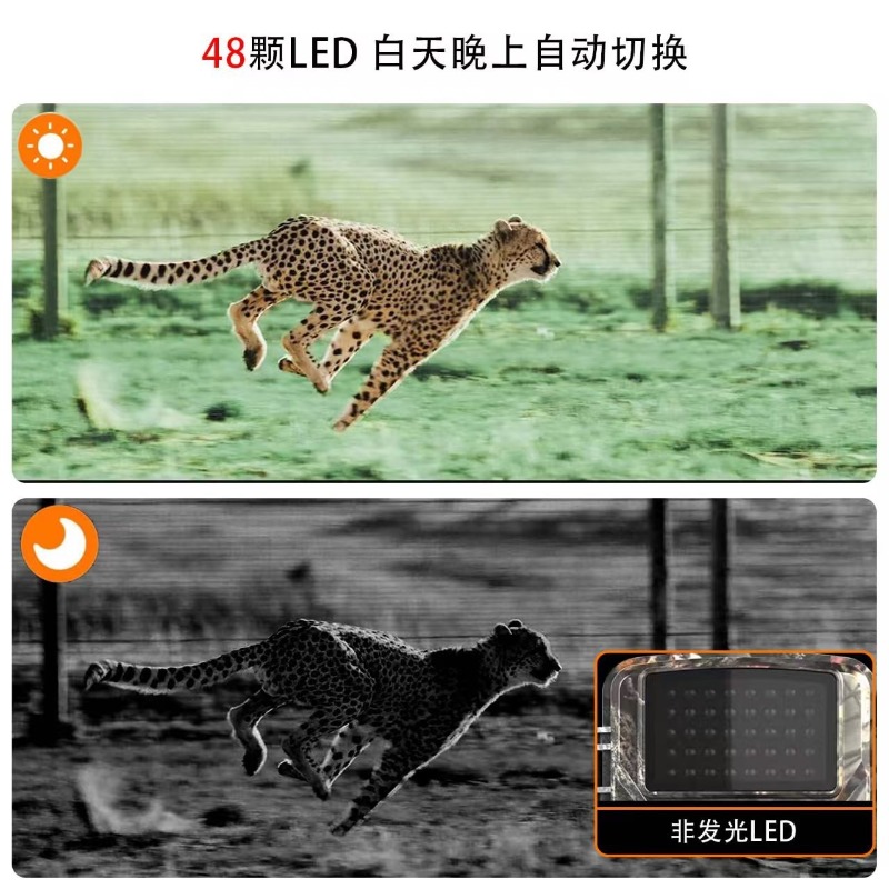 HOT SALE DL001 Hunting Camera  - огляд і ціна Hunting Outdoor Camera