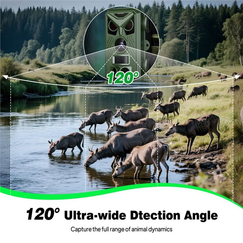 BTLIFE-Wildlife Surveillance 1 - огляд і ціна Hunting Outdoor Camera