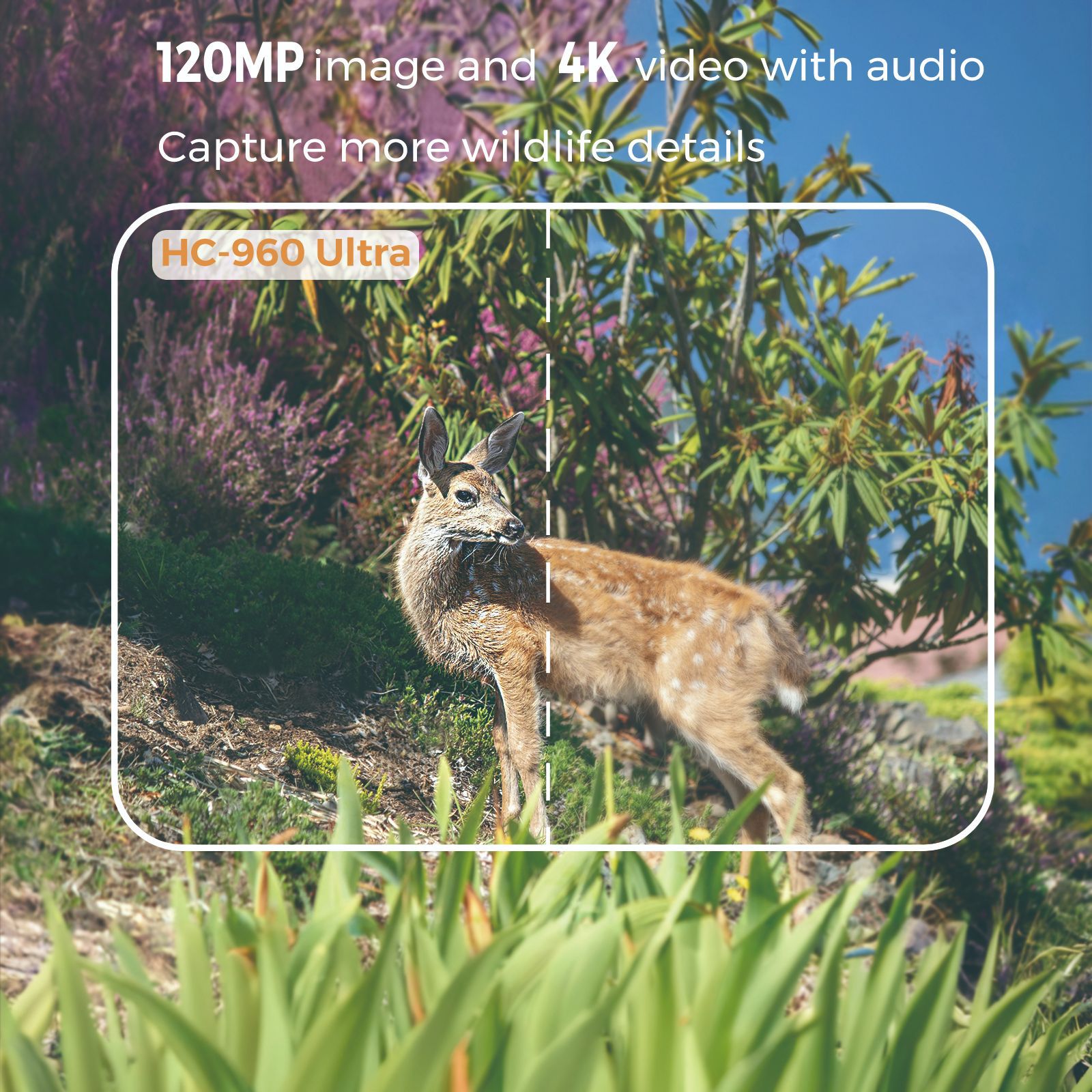 4G outdoor wildlife infrared c - огляд і ціна Hunting Outdoor Camera